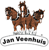 Jan Veenhuis